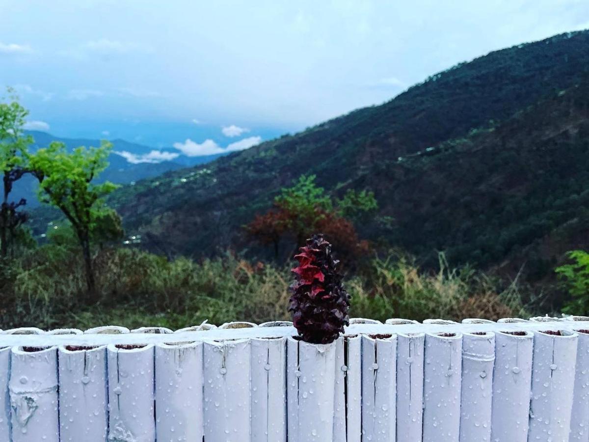 Pahaadi Dhun Homestay Chamba  المظهر الخارجي الصورة